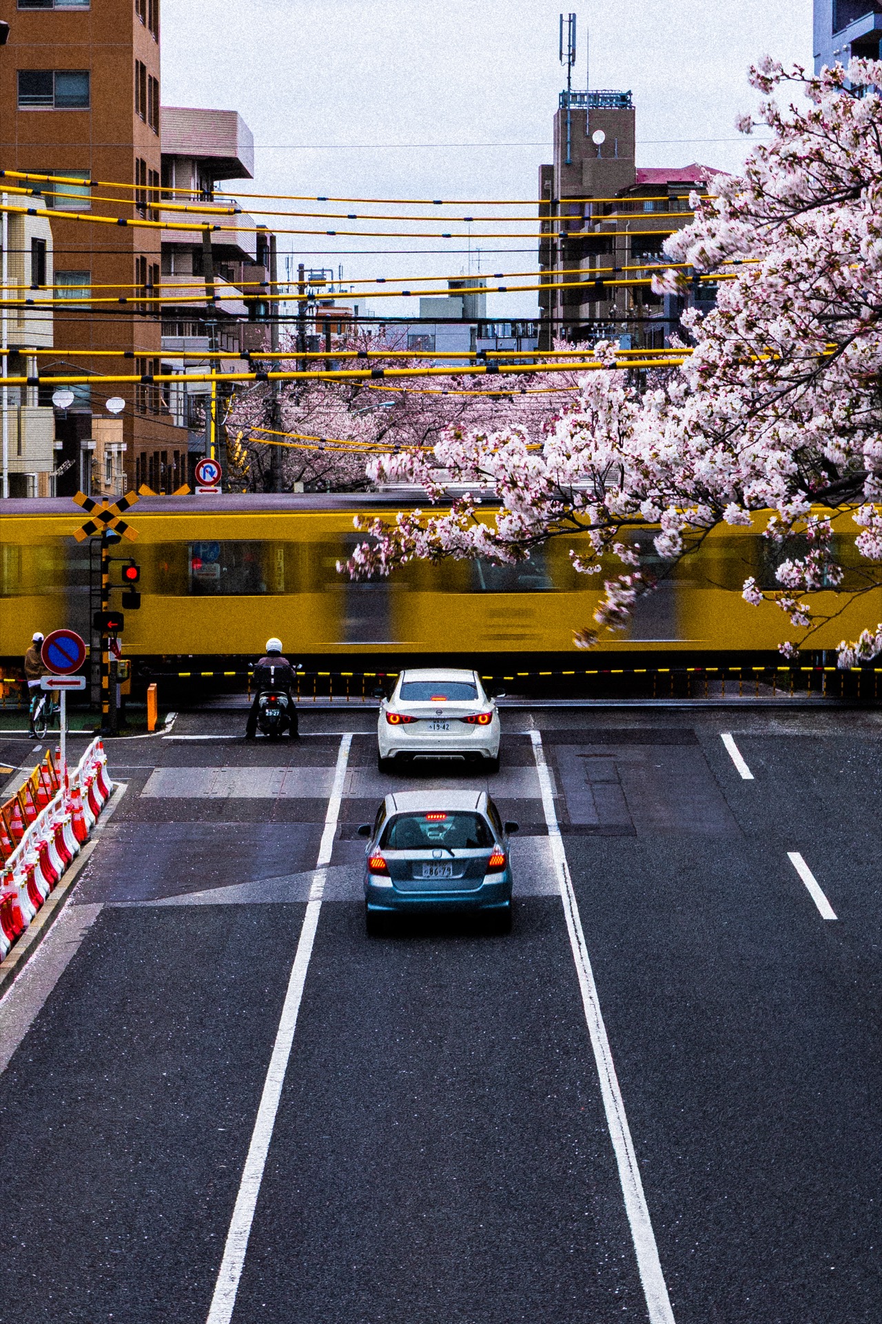 Yellow train passing cherry blossoms at a city crossing